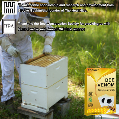 Bee Venom Slimming Patch