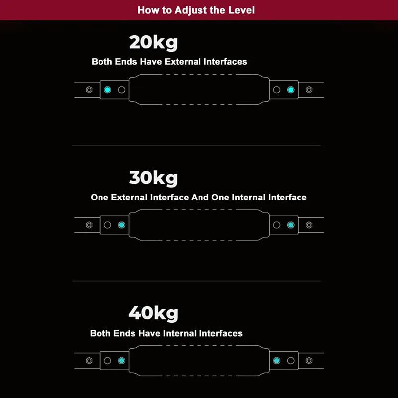 Advanced Full Body Strength & Muscle Builder