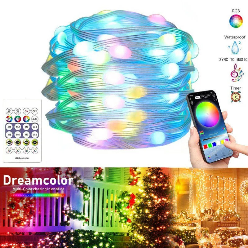 Colorful Smart Christmas String Lights