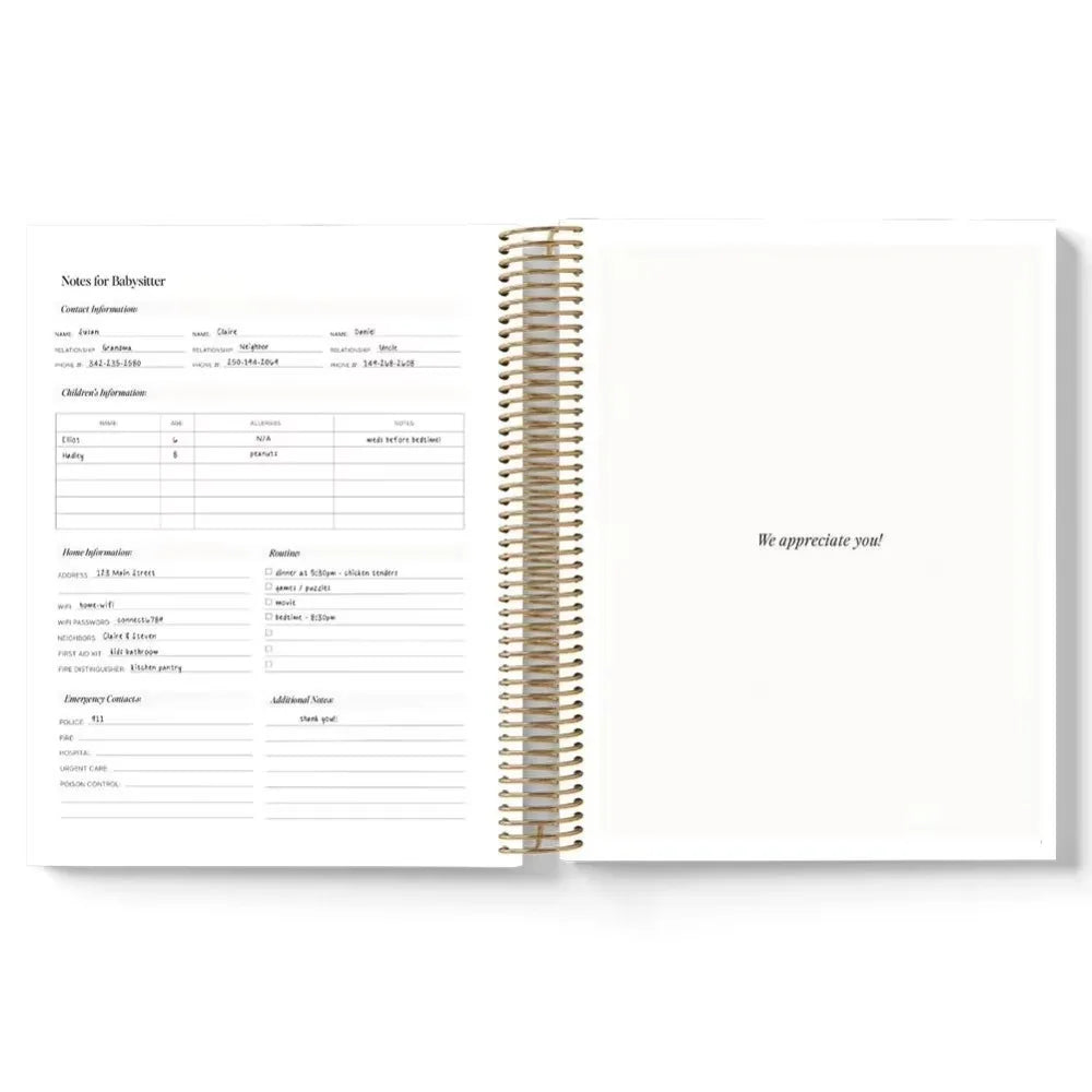 2025 Daily Planner new