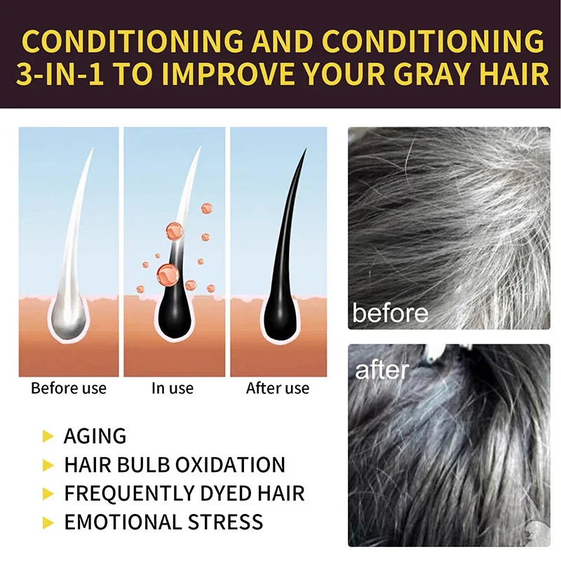 Black Hair Dye Shampoo Instant 3 in 1 +100% Grey Coverage - Herbal Ingredients