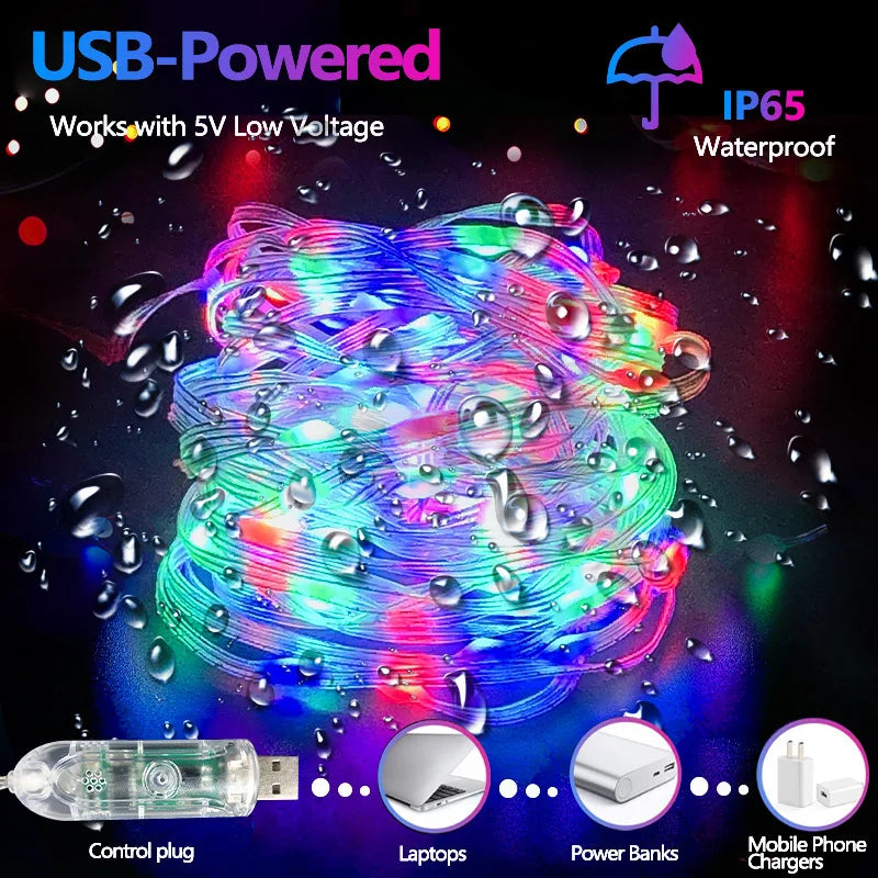 Colorful Smart Christmas String Lights
