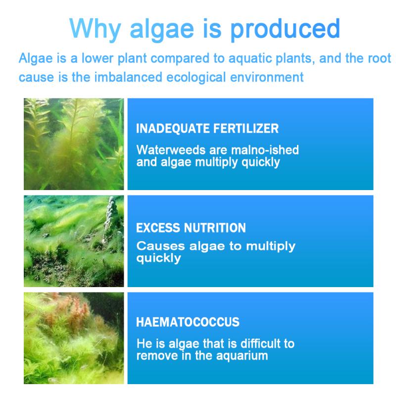 Algae Repellent Agent